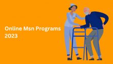 40 Online Msn Programs 2024